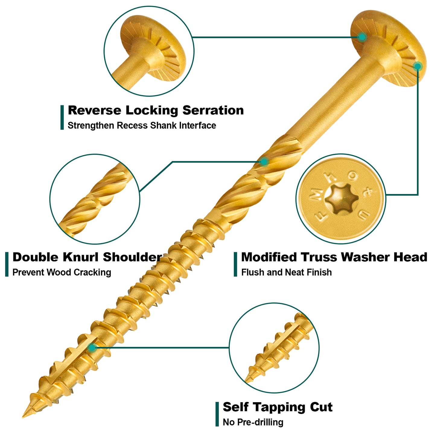 #14 x 5 Inch Wood Structural Lag Screws Star Drive Decking Wood Screws, Rust Resistant Timber Screws for Timber/Log/Landscaping (Yellow)